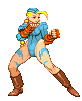 cammy-s1.gif